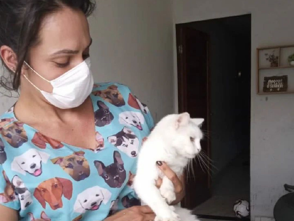 Clínica veterinária em Solânea oferece atendimento gratuito no controle populacional de cães e gatos.